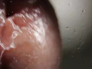 Perfect POV Japanese ...