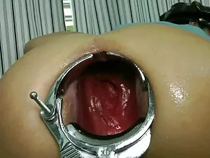 Sem cauda à videos n ...